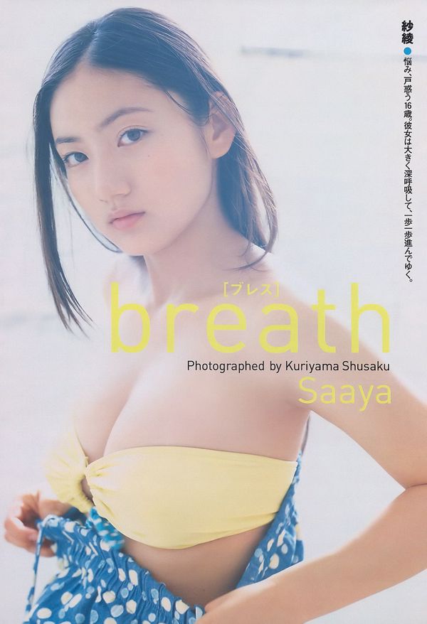 Saaya Nako Mizusawa Miiko Morita Chizuru Ikewaki Yu Tejima Aiko Kaito [Playboy semanal] 2010 No.11 Fotografía