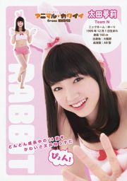 NMB48 Akari Yoshida Kei Jonishi Miyuki Watanabe Kaede Yagura Aya Yamamoto Kanako Muro [Young Animal] 2014 No.17 Fotografia